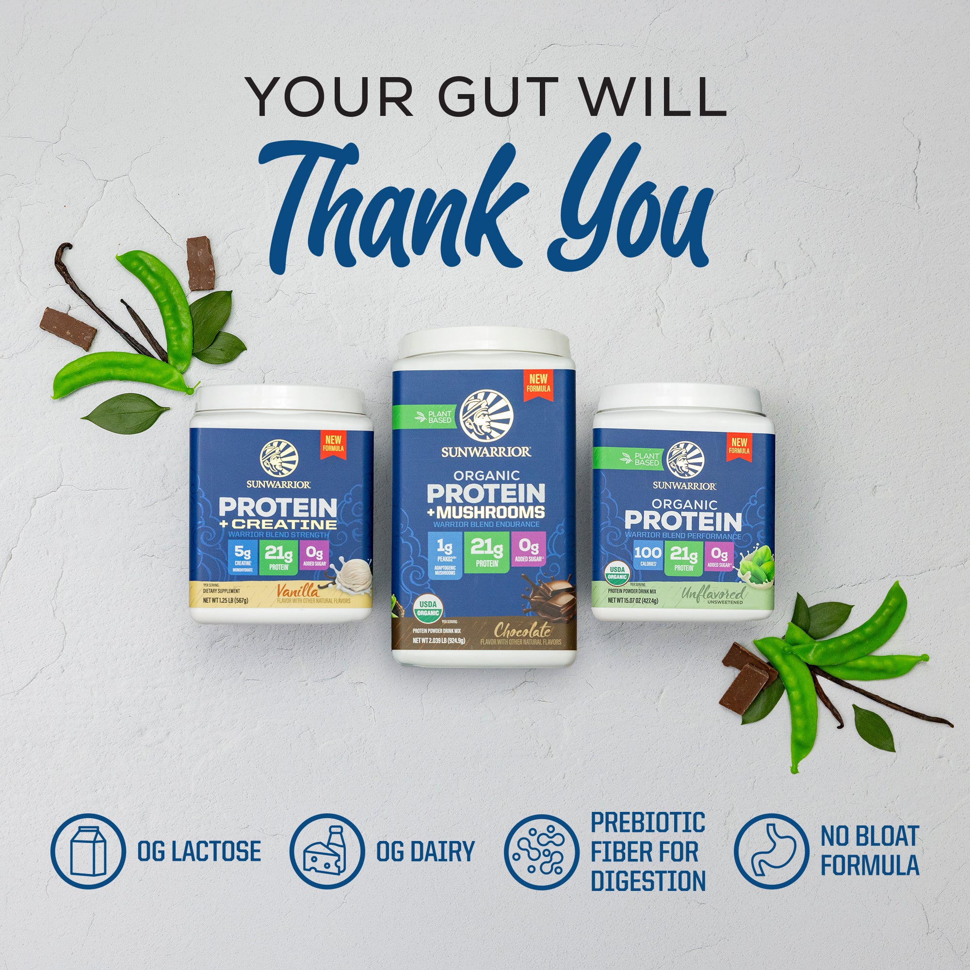ORGANIC PLANT BASED PROTEIN POWDER Plant-based Protein Sunwarrior
