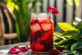 Cold Brew Hibiscus & Yerba Mate Infusion