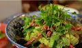 Crunchy Green Salad with Lime Avocado Dressing