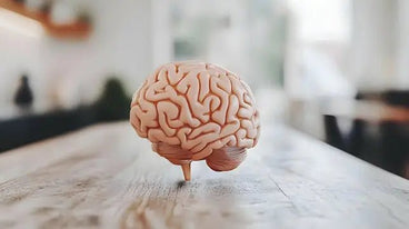 Pineal Gland Health