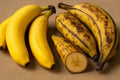 banana brother- fruit that looks like a banana