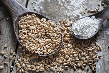 spelt benefits