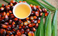 Tocotrienols - Uses, Benefits, and Side Effects