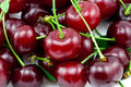 Cherry Juice and Gout