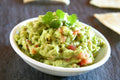 Gracious Living Protein Guacamole