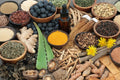 Nine Potent Adaptogens that Help You Overcome Stress