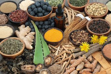 Nine Potent Adaptogens that Help You Overcome Stress