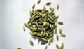 The Health Benefits of Fennel Seeds