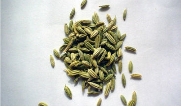 The Health Benefits of Fennel Seeds