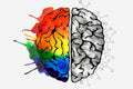 brain superfoods