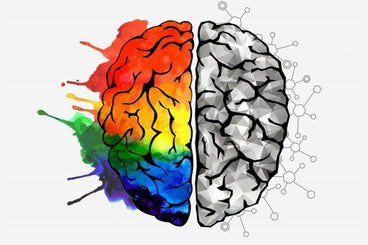 brain superfoods