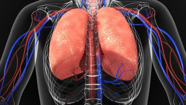 Foods for Healthy Lungs