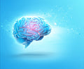 omega 3 brain fog