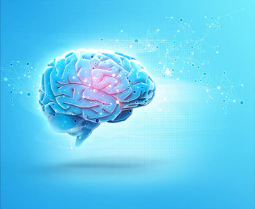 omega 3 brain fog