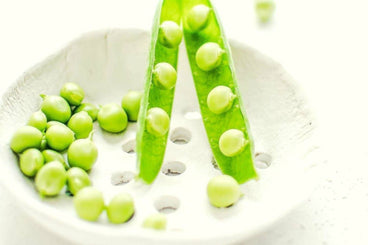 pea protein benefits