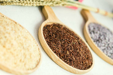 Arsenic in Rice Protein