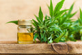 5 Uses and Health Benefits of Hemp Oils