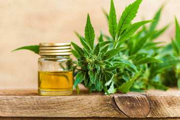 5 Uses and Health Benefits of Hemp Oils