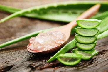 Health Benefits of Aloe Vera