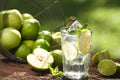 DIY Fruit and Vegetable Water Purifiers