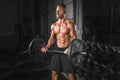 Shoulder and Trap Exercises