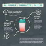 Shaker cup with creatine benefits illustrating muscle building, energy promotion, and focus support