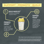 Infographic showing creatine benefits for building muscles, promoting energy, and supporting cognitive focus.