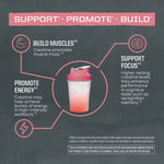 Pink and white shaker bottle surrounded by muscle, brain, and energy icons with text about creatine benefits