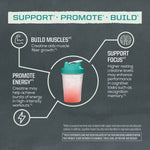 Shaker bottle with pink drink surrounded by icons promoting muscle building, energy, and focus benefits of creatine.