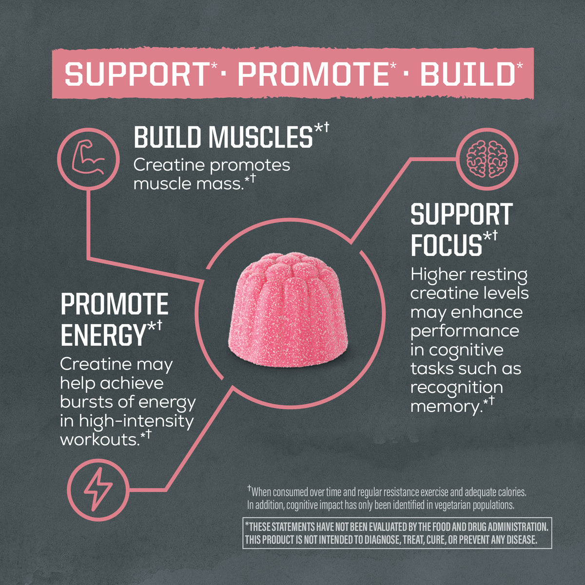 Diagram showing benefits of creatine: build muscles, promote energy, support focus with a pink gummy in center.