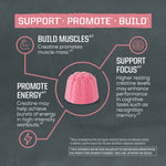 Diagram showing benefits of creatine: build muscles, promote energy, support focus with a pink gummy in center.