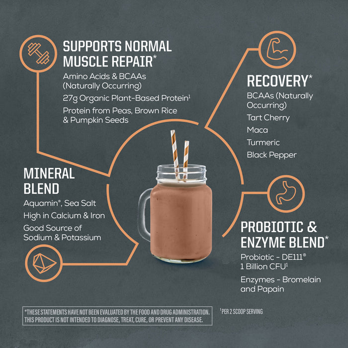 Mason jar with chocolate protein shake surrounded by text on muscle repair, recovery, minerals, probiotics, and enzymes.