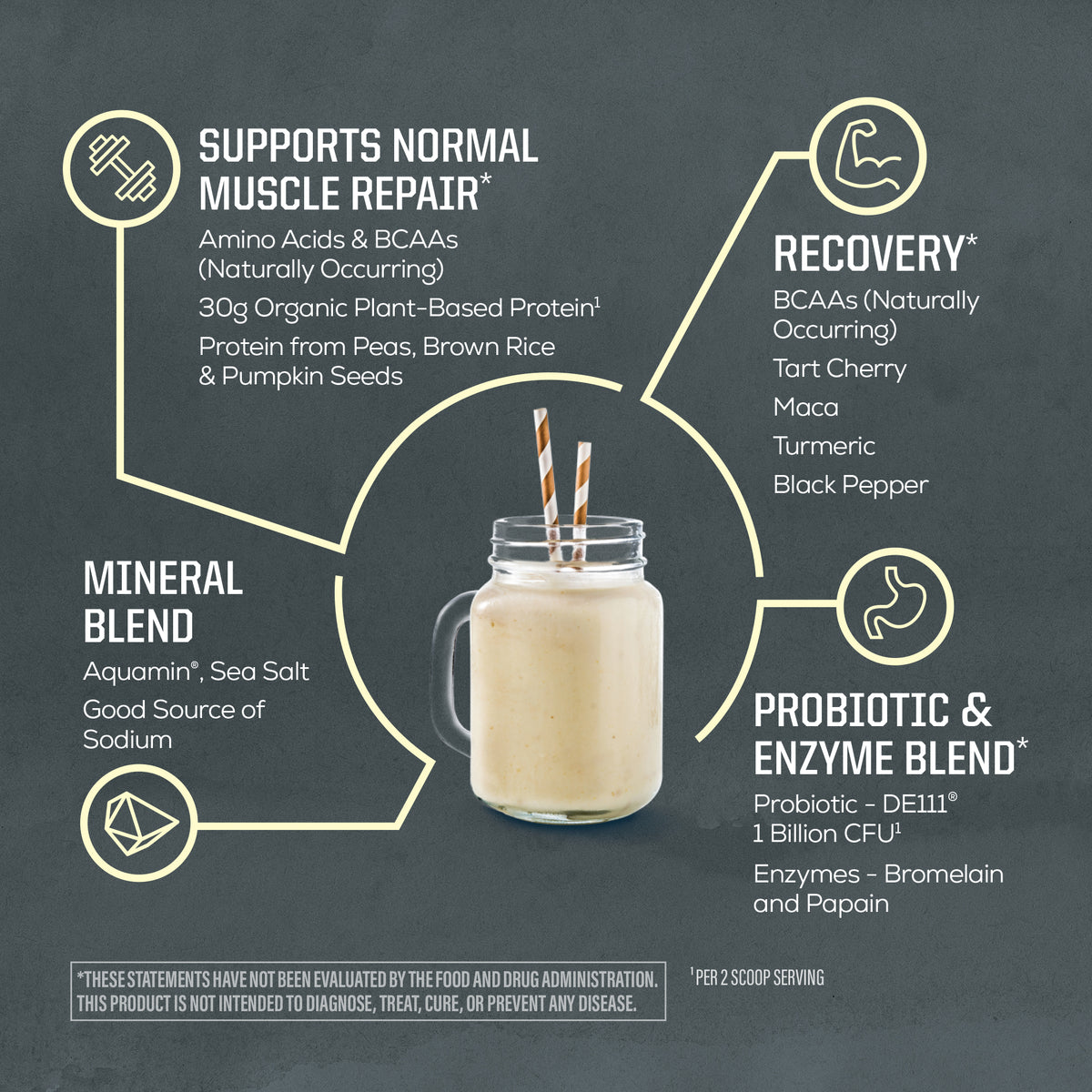 Infographic showing plant-based protein benefits with muscle repair, recovery, minerals, probiotics, and enzymes.