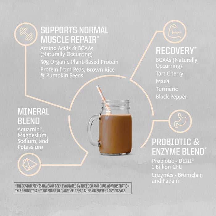 ActiveProtein Chocolate Benefits