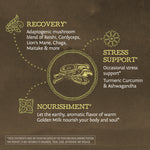 Diagram showing adaptogenic mushroom blend for recovery, stress support with turmeric and ashwa, and nourishment from golden milk