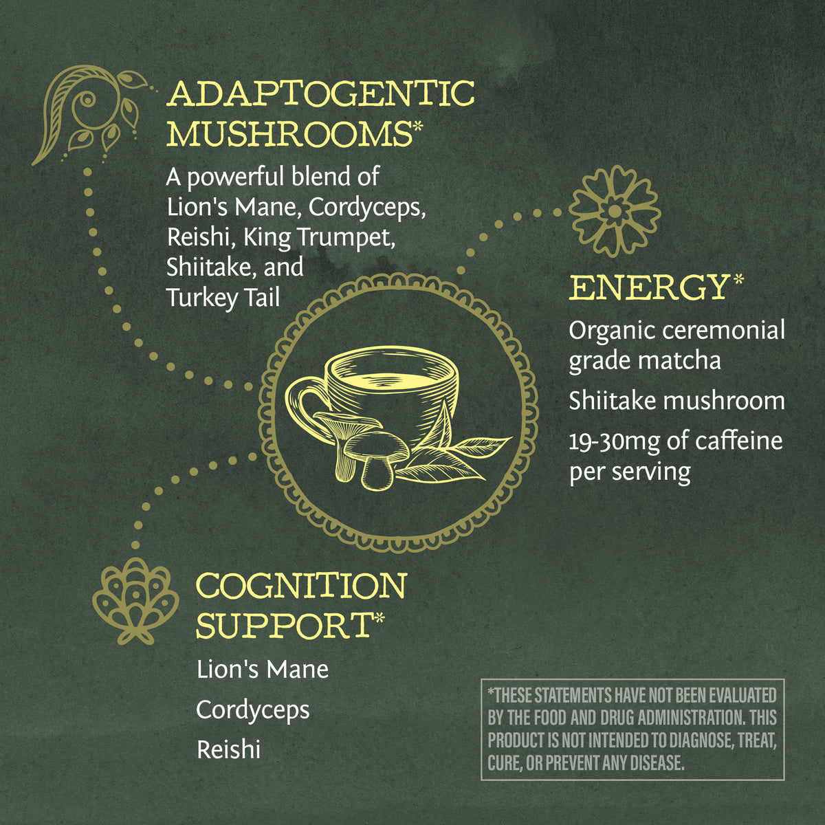 Chalkboard style infographic highlighting adaptogenic mushrooms and matcha for energy and cognition support