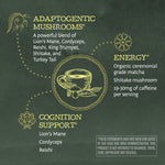 Chalkboard style infographic highlighting adaptogenic mushrooms and matcha for energy and cognition support