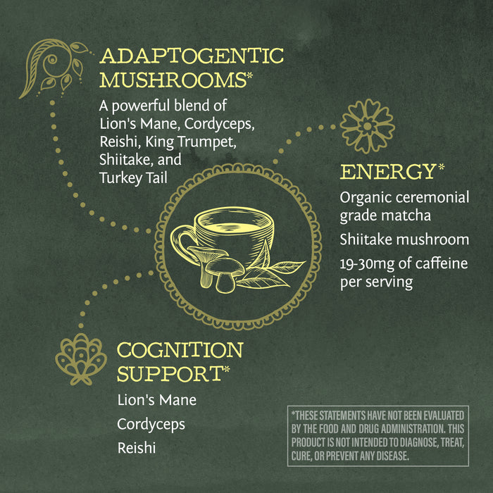 Chalkboard style infographic highlighting adaptogenic mushrooms and matcha for energy and cognition support