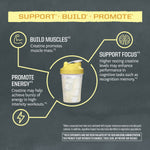 Diagram showing a yellow shaker bottle in the center with text around it highlighting creatine benefits: building muscles, promoting energy, and supporting focus, with related icons on a dark background.