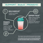 Fitness shaker bottle with creatine benefits for muscles, energy, and cognitive focus.