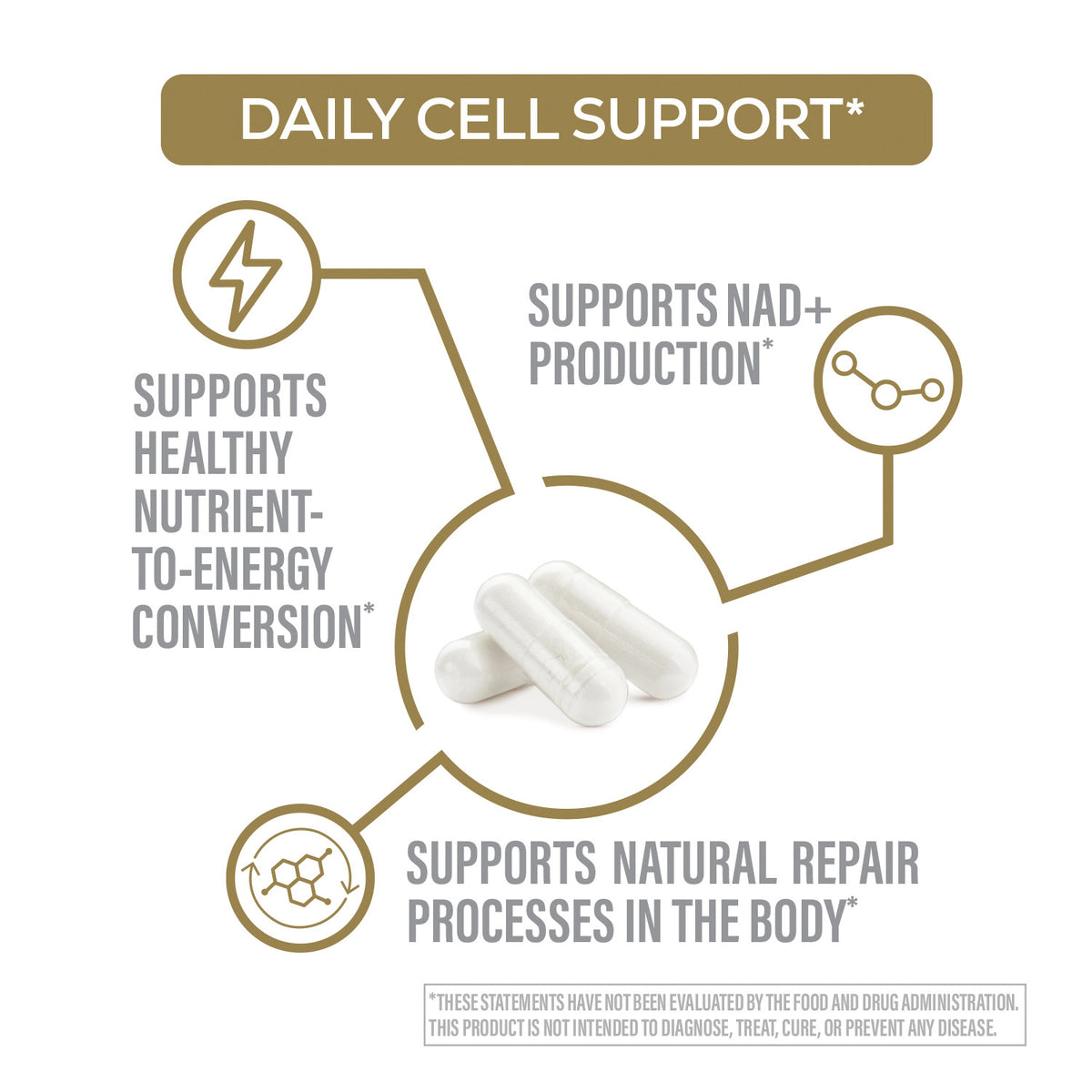 Diagram of daily cell support with text and a pill icon on a white background