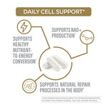 Diagram of daily cell support with text and a pill icon on a white background