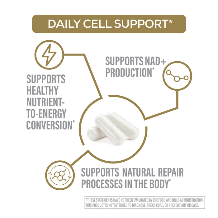 Diagram of daily cell support with text and a pill icon on a white background