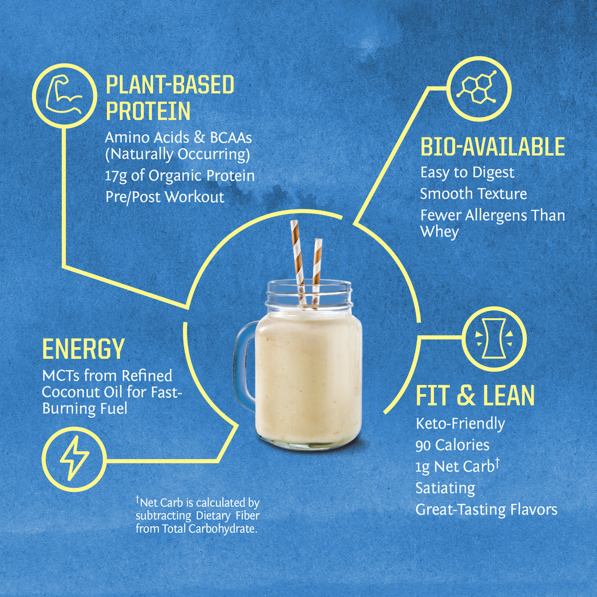 WarriorBlend 750g Vanilla Amazon Benefits