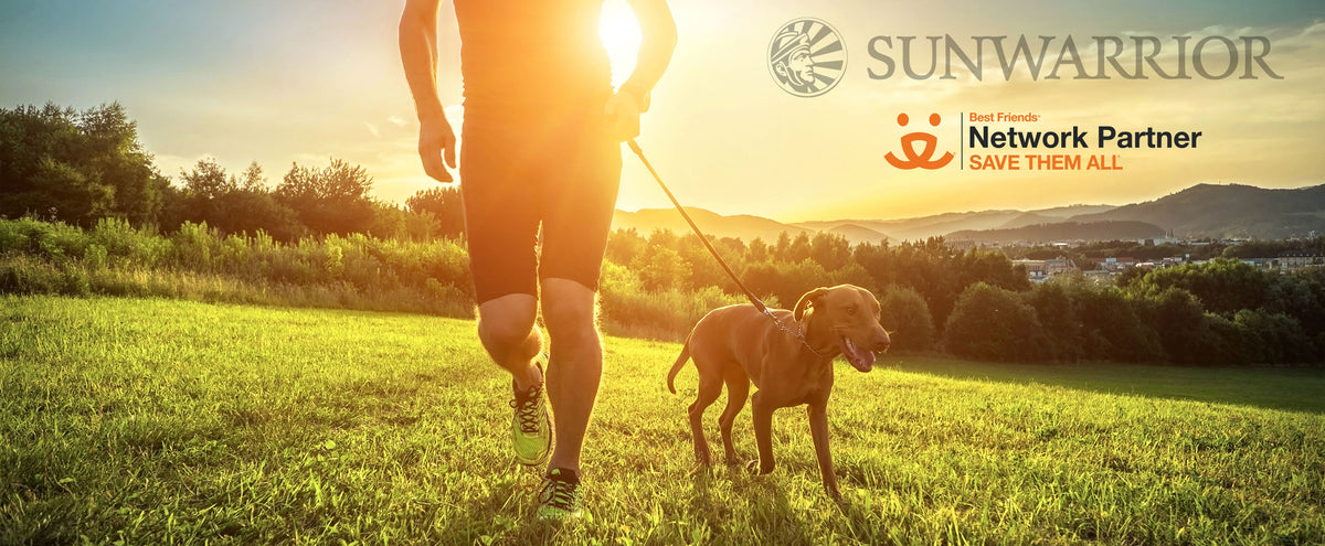 Donation - Life style banner image desktop