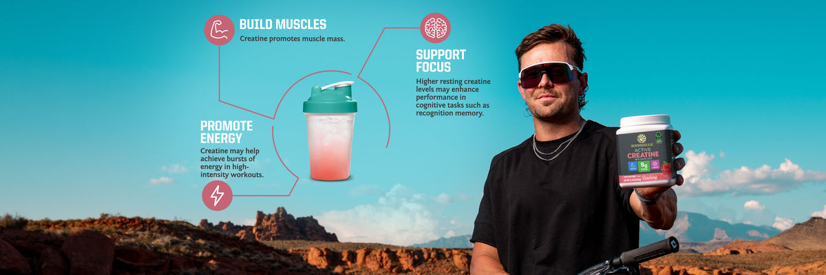 Active Creatine - Life style banner image desktop