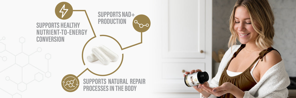 NMN Capsules 500mg - Life style banner image desktop