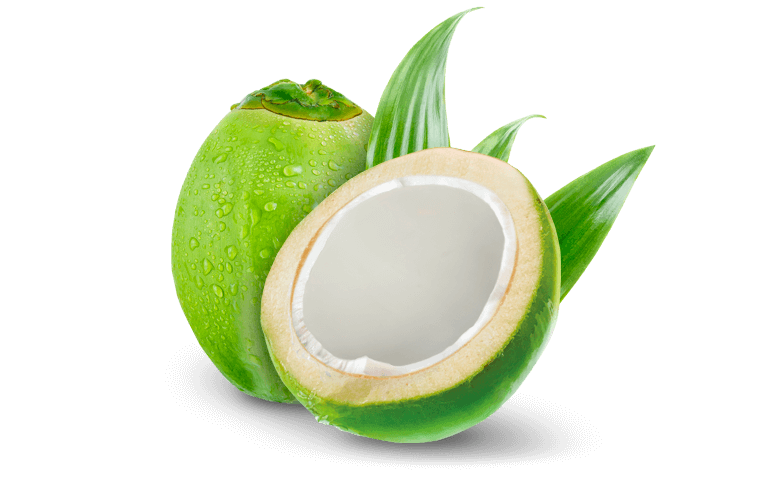Coconut