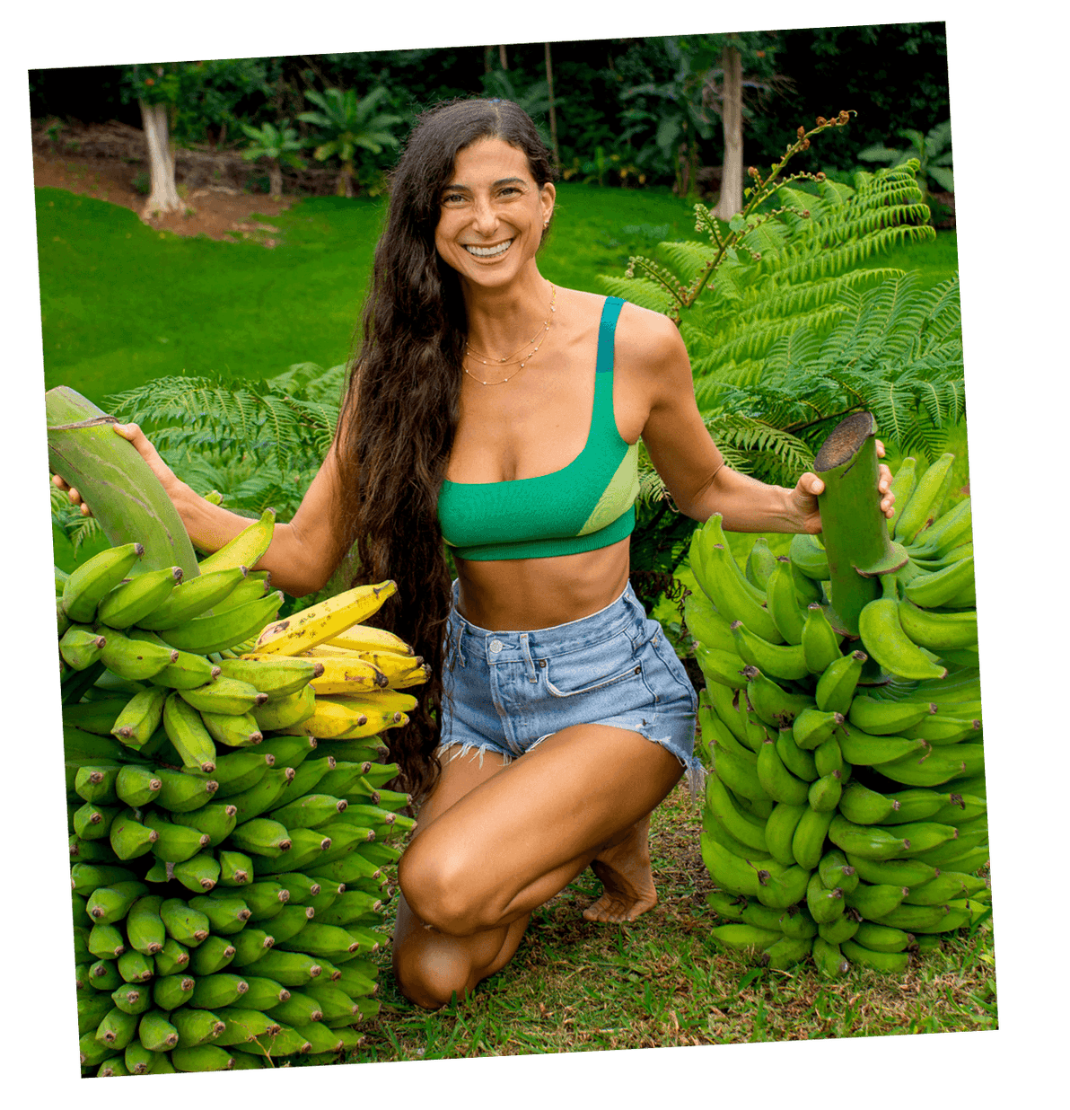 FullyRaw Mission