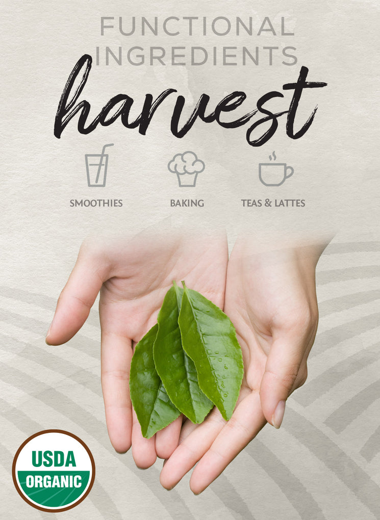 Organic Matcha Powder - Life style banner image mobile